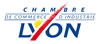 logo CCI lyon